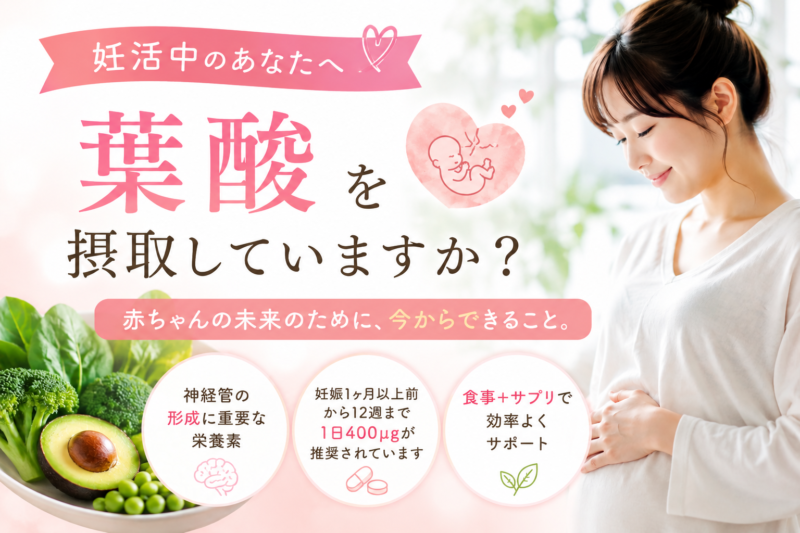 妊活と葉酸