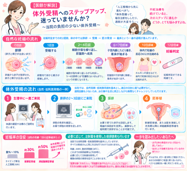 やさしく学ぶ体外受精ステップガイド